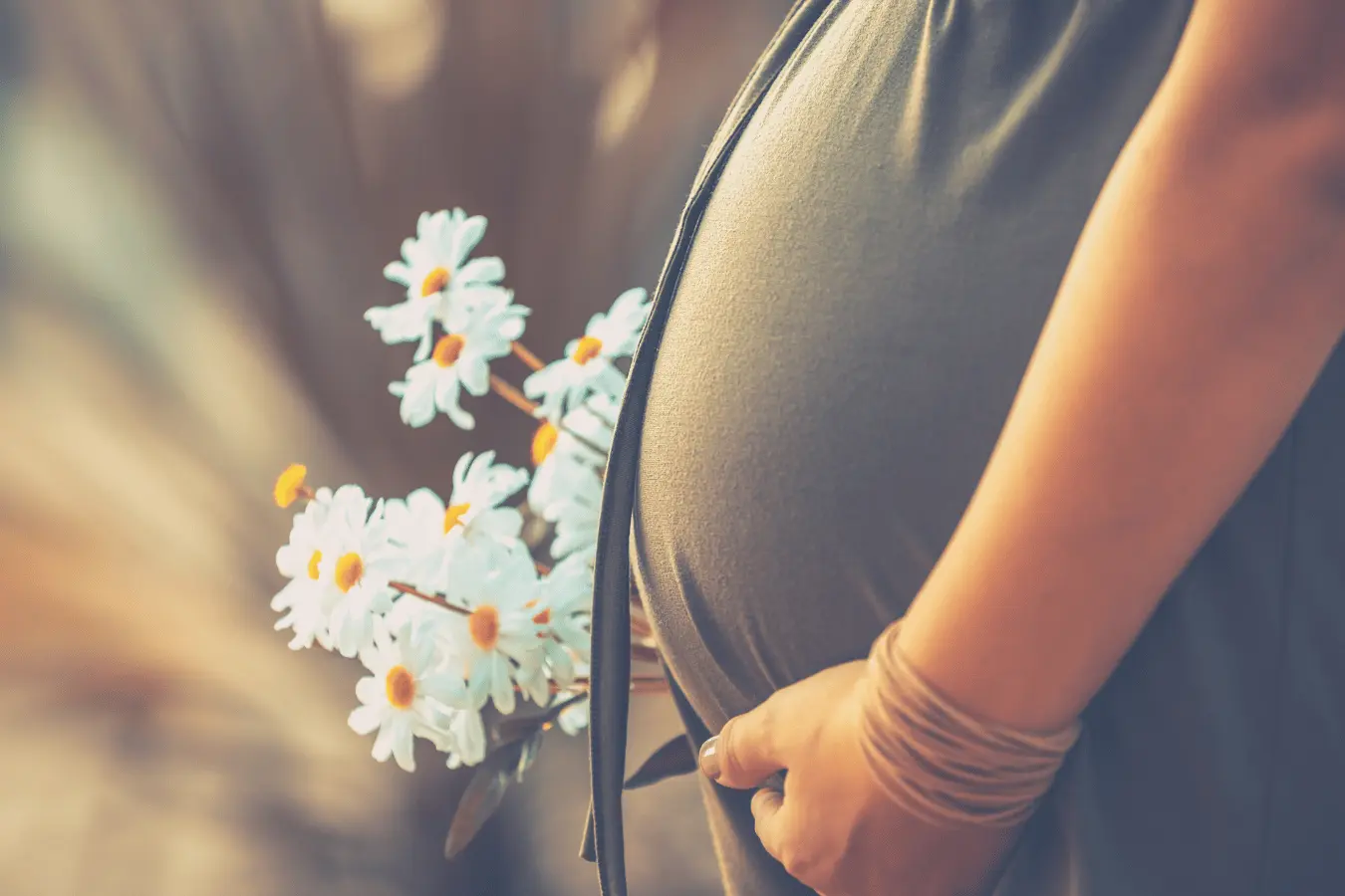 Pregnant belly with daisy flowers